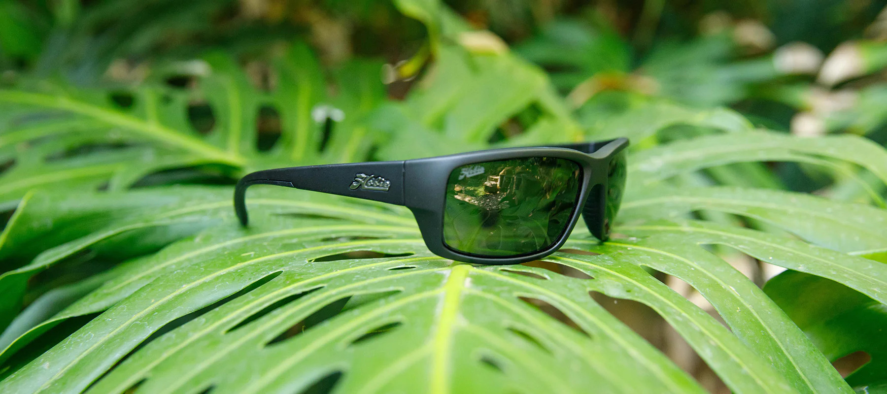 Hobie Eyewear Snook fishing sunglasses sitting on a plant leaf